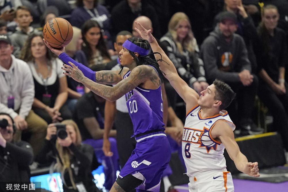 职业生涯的 职业生涯的